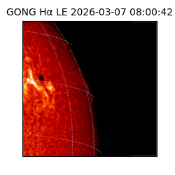 gong - 2026-03-07T08:00:42