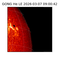 gong - 2026-03-07T09:00:42