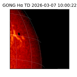 gong - 2026-03-07T10:00:22