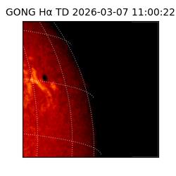 gong - 2026-03-07T11:00:22