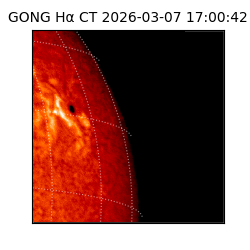 gong - 2026-03-07T17:00:42
