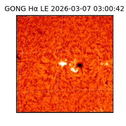 gong - 2026-03-07T03:00:42