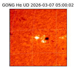 gong - 2026-03-07T05:00:02