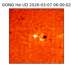 gong - 2026-03-07T06:00:02