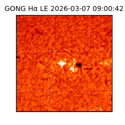 gong - 2026-03-07T09:00:42