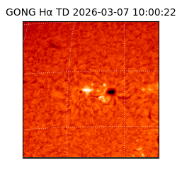 gong - 2026-03-07T10:00:22