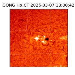 gong - 2026-03-07T13:00:42