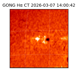 gong - 2026-03-07T14:00:42