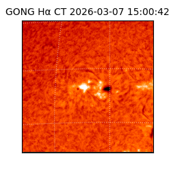 gong - 2026-03-07T15:00:42