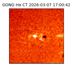 gong - 2026-03-07T17:00:42