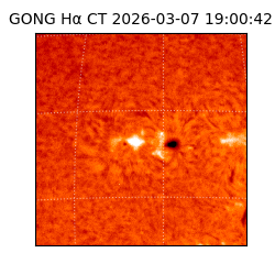 gong - 2026-03-07T19:00:42