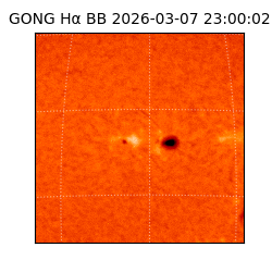 gong - 2026-03-07T23:00:02