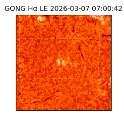 gong - 2026-03-07T07:00:42