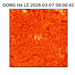 gong - 2026-03-07T08:00:42