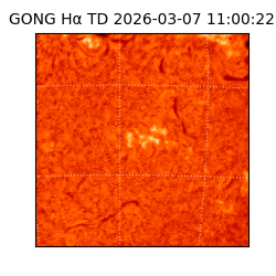 gong - 2026-03-07T11:00:22