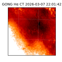 gong - 2026-03-07T22:01:42