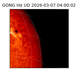 gong - 2026-03-07T04:00:02