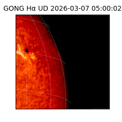 gong - 2026-03-07T05:00:02