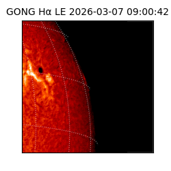 gong - 2026-03-07T09:00:42