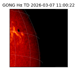 gong - 2026-03-07T11:00:22