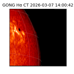 gong - 2026-03-07T14:00:42