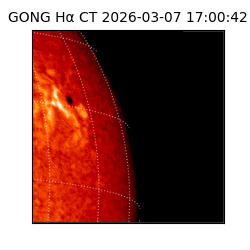 gong - 2026-03-07T17:00:42