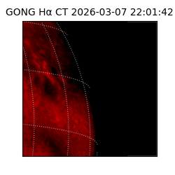 gong - 2026-03-07T22:01:42