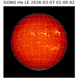 gong - 2026-03-07T01:00:42