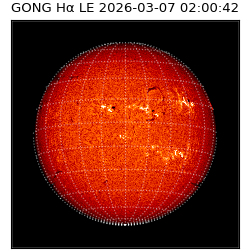 gong - 2026-03-07T02:00:42