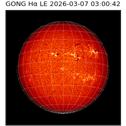 gong - 2026-03-07T03:00:42