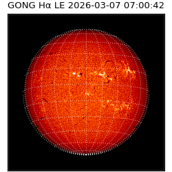 gong - 2026-03-07T07:00:42