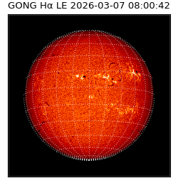 gong - 2026-03-07T08:00:42