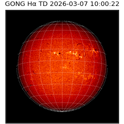 gong - 2026-03-07T10:00:22