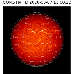 gong - 2026-03-07T11:00:22