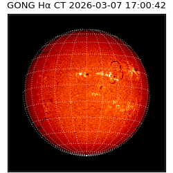gong - 2026-03-07T17:00:42