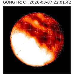 gong - 2026-03-07T22:01:42