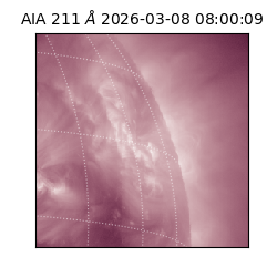 saia - 2026-03-08T08:00:09.623000