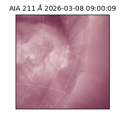 saia - 2026-03-08T09:00:09.623000