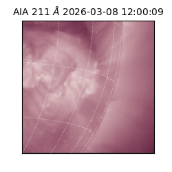 saia - 2026-03-08T12:00:09.624000