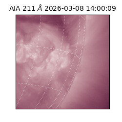 saia - 2026-03-08T14:00:09.623000