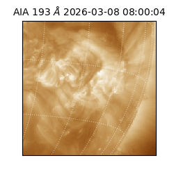 saia - 2026-03-08T08:00:04.843000