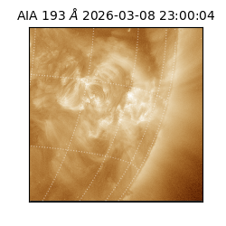 saia - 2026-03-08T23:00:04.840000