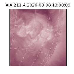 saia - 2026-03-08T13:00:09.623000