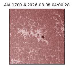 saia - 2026-03-08T04:00:28.446000