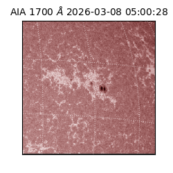 saia - 2026-03-08T05:00:28.446000