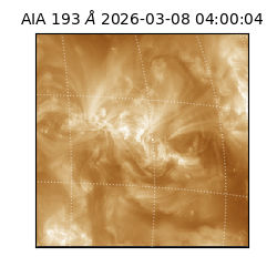 saia - 2026-03-08T04:00:04.842000