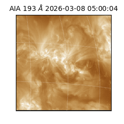 saia - 2026-03-08T05:00:04.842000