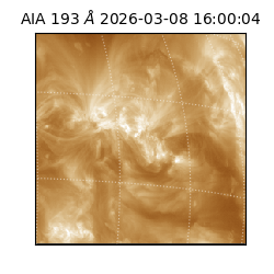 saia - 2026-03-08T16:00:04.845000