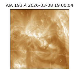 saia - 2026-03-08T19:00:04.845000