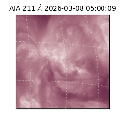 saia - 2026-03-08T05:00:09.622000